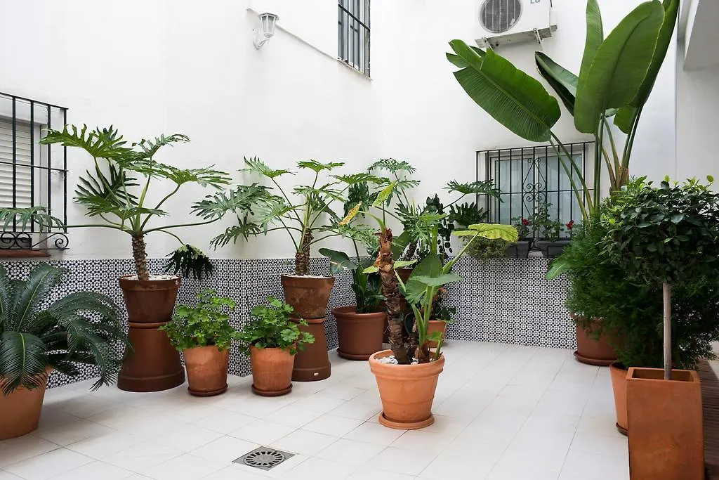 Urbanchicmalaga 3 Bedroom Spacious Quiet Historic Malaga Apt Apartment